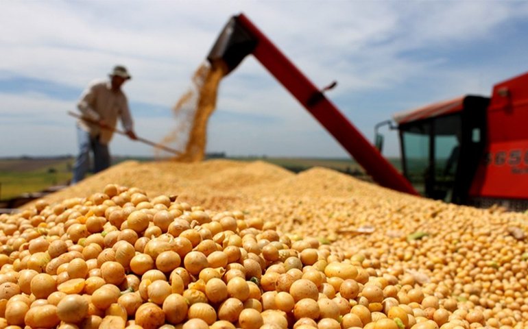 Cargill compra planta de esmagamento de soja na Bahia após 27 anos de arrendamento