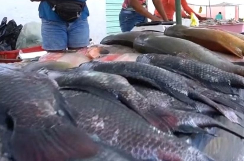 Vigilância Sanitária de Penedo orienta população sobre compra de peixe