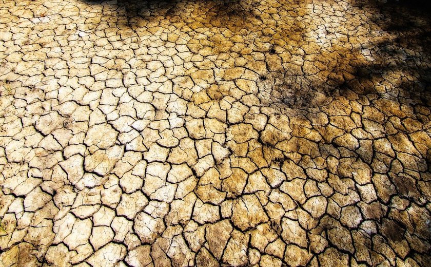 Prefeitura de Palmeira decreta situação de emergência em áreas atingidas pela seca