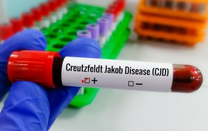 News title