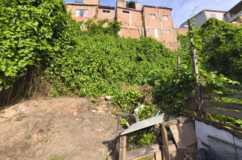 Arapiraca (AL) tem 13 áreas de risco onde vivem mais de mil pessoa