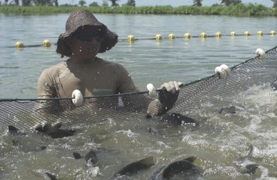 Agronorte leva à Pecnordeste 2024 aplicações tecnológicas que fortalecem a produção de peixes