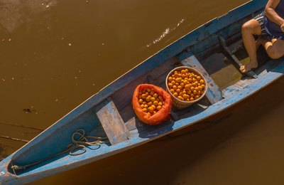 Natura reforça estratégia de prevenção aos efeitos do El Niño com  IA e rede de colaboração