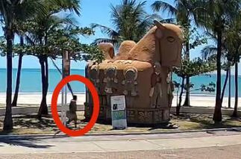 Prefeitura divulga imagens do suspeito de atear fogo na escultura “O Boi”, no Jaraguá