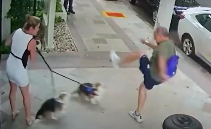 Justiça condena empresário que chutou cães da irmã de Zanin