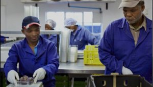 Quantidade de dias trabalhados no Brasil se aproxima da Noruega, já os serviços... Foto: Getty Image