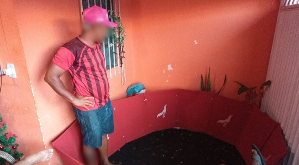 Rinha de galos é fechada na Zona Sul de Aracaju