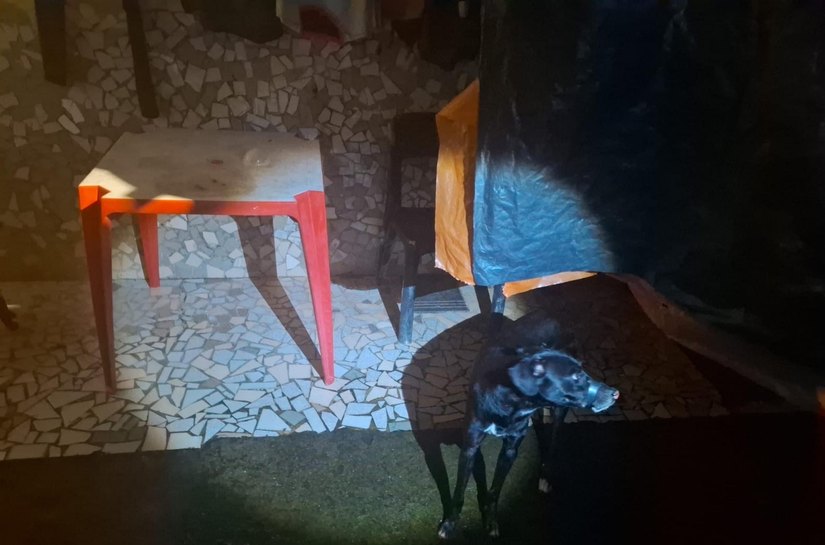 Polícia Militar prende suspeito de vedar boca de cachorro com fita isolante em Maceió
