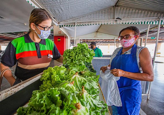 Feiras de alimentos orgânicos acontecem semanalmente em Arapiraca