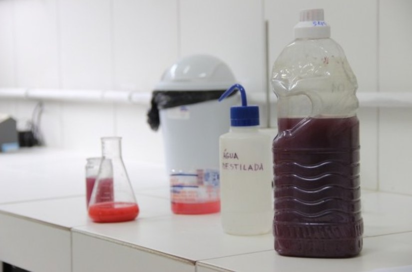 Mudança de cor do Rego dos Mamões foi causada por contaminação química