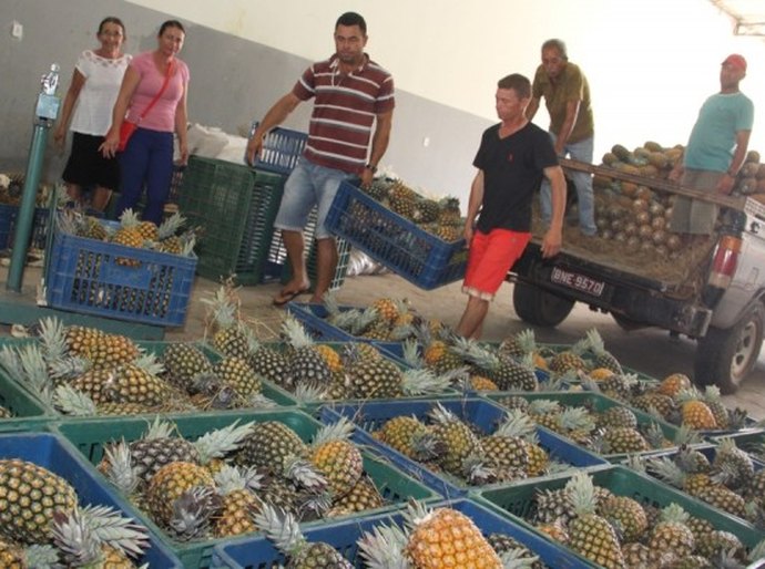 PAA melhora vida de agricultores familiares de Arapiraca