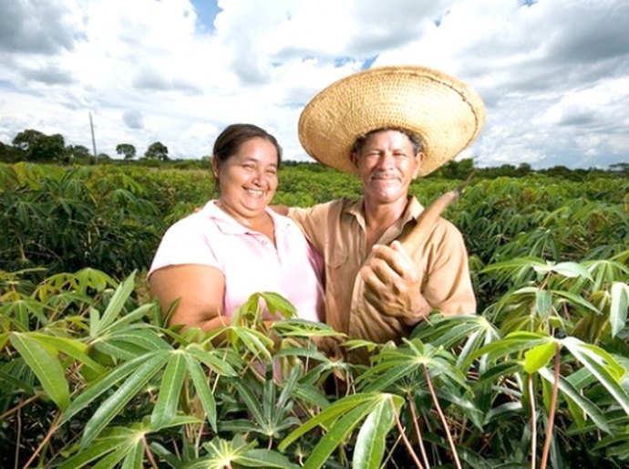 Autorizado pagamento do Garantia-Safra para mais de 11 mil agricultores de AL
