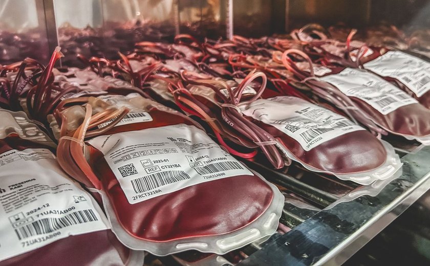 Dia Mundial do Doador de Sangue: uma única doação pode salvar 3 vidas