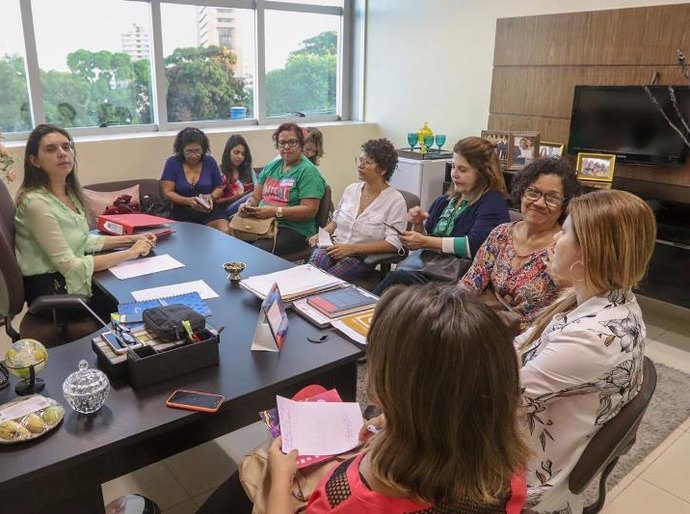 Integrantes do Cedim mostram na ALE preocupação com aumento da violência contra a mulher no Carnaval