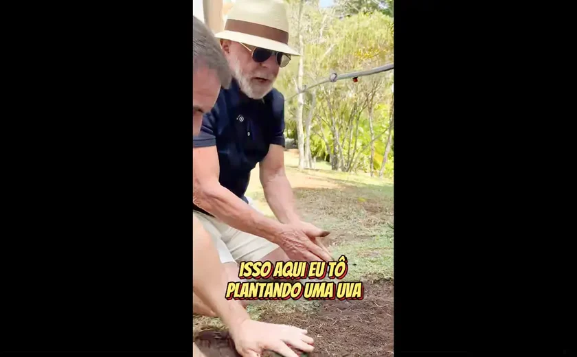 Em vídeo a Trump, Lula diz que planta comida, não ódio