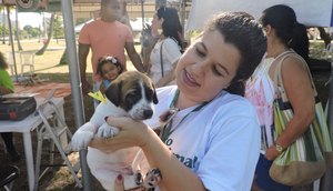 cuidados com o animal 