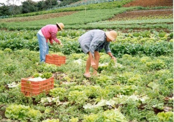 Agricultores de Arapiraca e região serão beneficiados com rodada de negociações