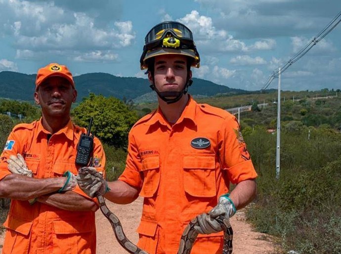 Corpo de Bombeiros registra queda de 23% em ocorrências de captura de animais em Alagoas
