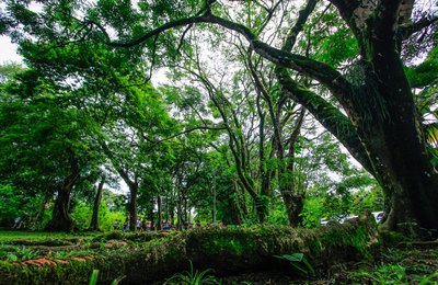 Parques de Maceió voltam a funcionar durante os fins de semana