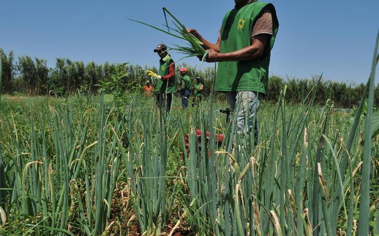 Brasil e Senegal ampliam cooperação em defesa e agropecuária