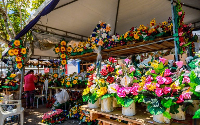 Comércio de flores movimenta economia arapiraquense no Dia de Finados