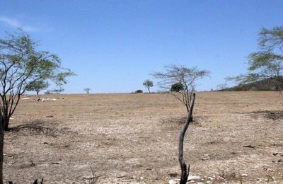 Alagoas recebe seminários para atualização do Plano Estadual de Combate à Desertificação