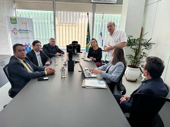 Cosems-AL participa de discussão sobre pacto interfederativo