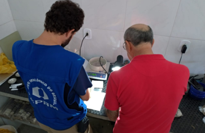 Técnicos avançam em mais uma etapa de trabalho no Pinheiro 