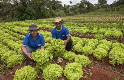 Com PAA, renda de agricultores familiares cresce até 30% e dependência do CadÚnico chega a cair 57%