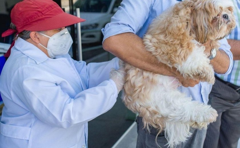 Prefeitura de Maceió inicia vacinação antirrábica no sábado (11)