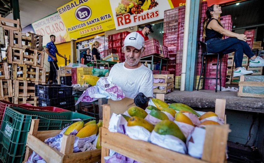 Tentativa de barrar alta dos alimentos é inútil, diz economista: 'Foge ao controle do governo'