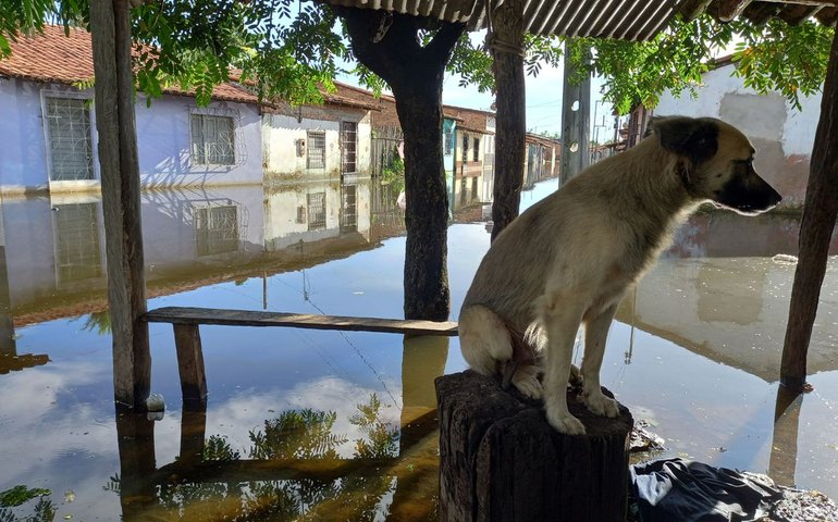 Rompimento de barragem alaga 23 casas e deixa 32 desalojados no Ceará