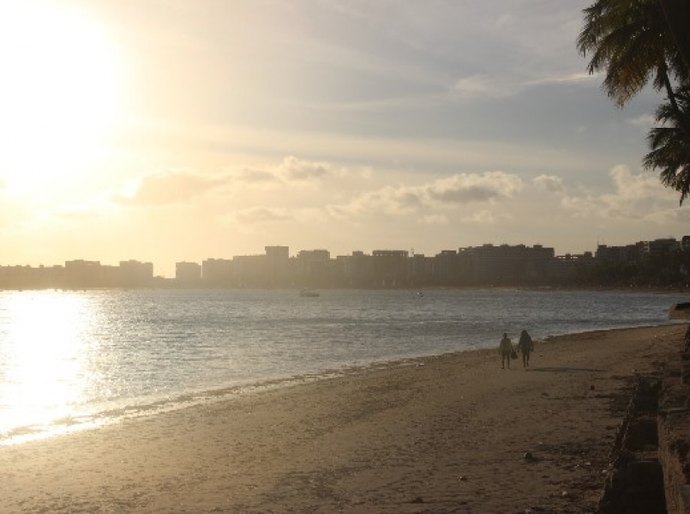 Após ser intimada pelo IMA prefeitura de Maceió retira sargaço da praia
