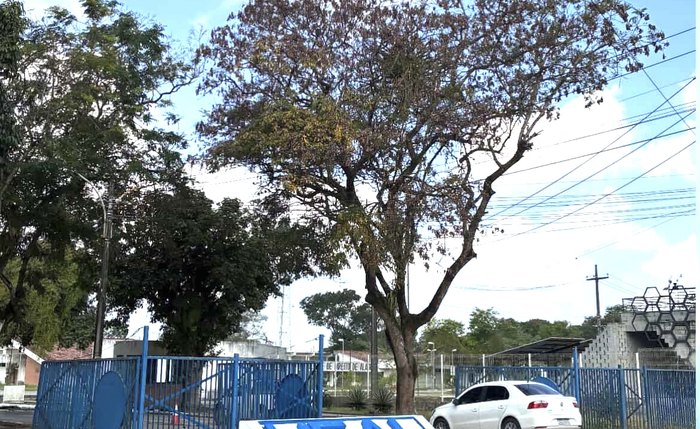 Objetivo é incentivar projetos desenvolvidos pela Faculdade de Direito (FDA) e outras atividades realizadas pela universidade Objetivo é incentivar projetos desenvolvidos pela Faculdade de Direito (FDA) e outras atividades realizadas pela universidade