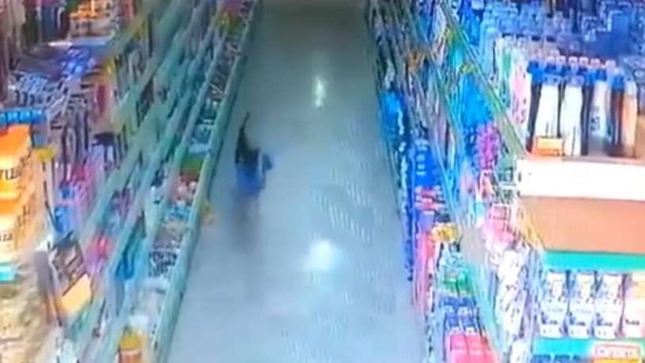 Cachorro entra em mercado, furta saco de pão e vídeo viraliza