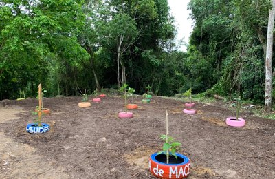 Prefeitura recolhe 150 toneladas de lixo e arboriza ponto crônico de descarte irregular