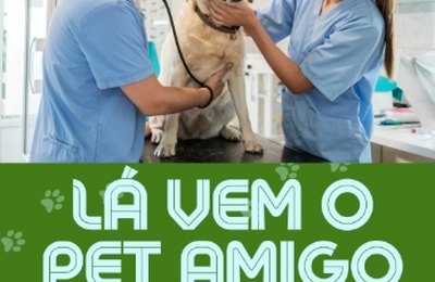 Pet Amigo atende bairro Palmeira de Fora em agosto