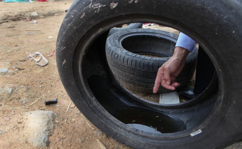 Alerta: Período chuvoso favorece a proliferação da dengue