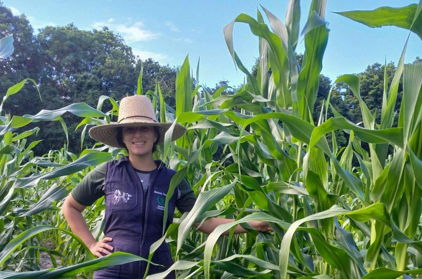 Estudantes de veterinária aprendem com cultivo de sementes do Planta Alagoas