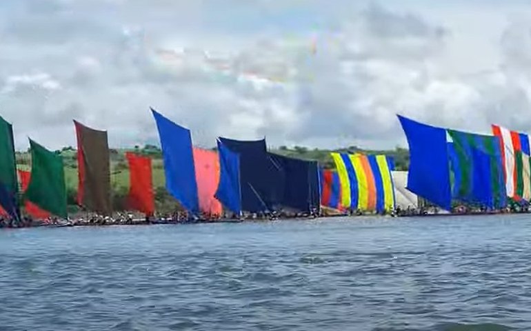 Traipu 130 anos: Corrida de canoa celebra Emancipação Política do município