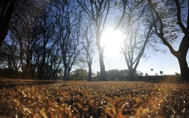 Lavagem nasal, umidificador e colírio: o que funciona para amenizar os malefícios da secura do ar?