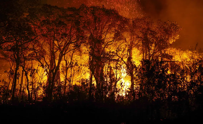 Brasil registrou 2.758 focos de incêndios, de acordo com o Programa Queimadas