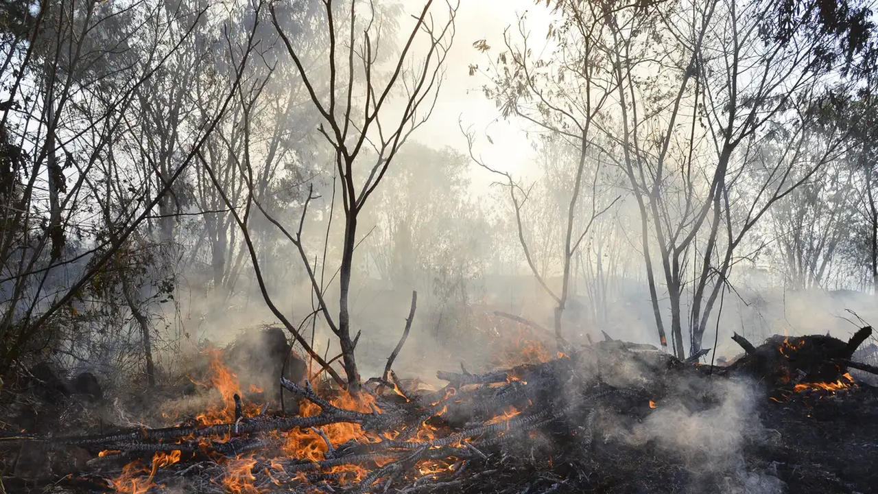 Incêndios já são os mais destrutivos da história de LA; Trump critica governador da Califórnia