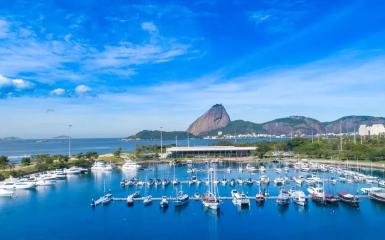 Semana do Meio Ambiente: Marina da Glória promove mutirão e reúne projetos de conservação marinha