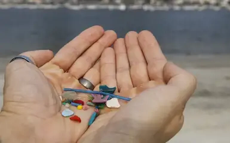 Microplásticos podem chegar ao cérebro através do nariz, indica estudo com participação brasileira