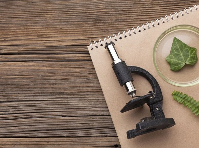 Biologia no Enem: veja como a disciplina é cobrada e dicas de estudos