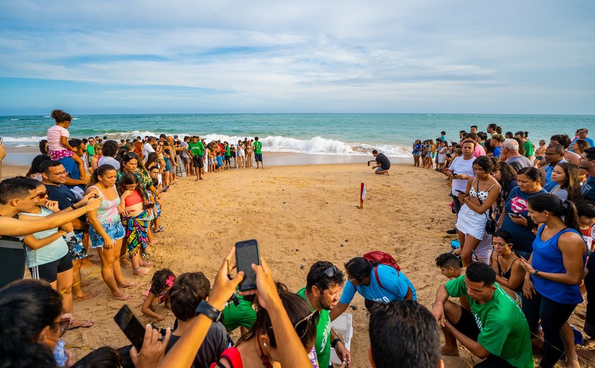 Soltura de filhotes de tartaruga encanta banhistas