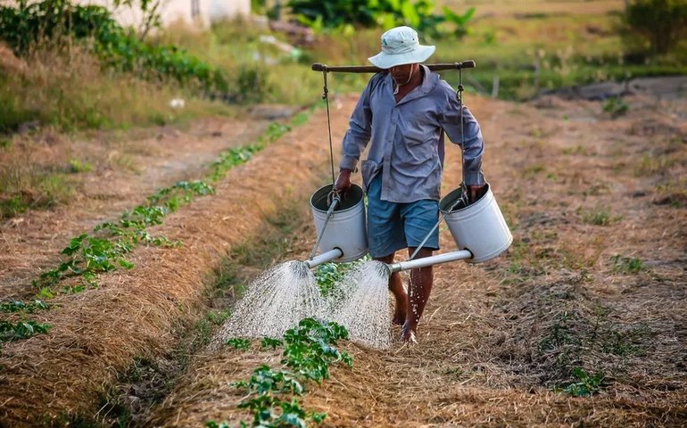 Só 31% dos empreendimentos rurais têm programas de sucessão familiar