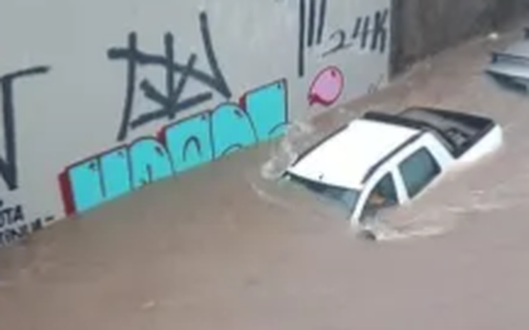 Loja de fuscas raros vira 'rio' durante forte chuva em SP e carros ficam submersos