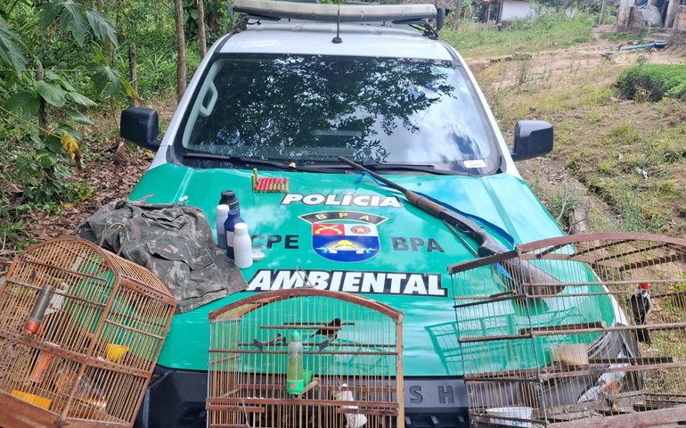 Após denúncia anônima, PM flagra arma e aves silvestres em cativeiro em Passo do Camaragibe